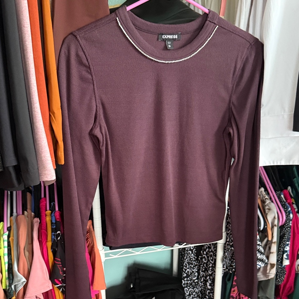 Express Plum Long Sleeve Blouse
